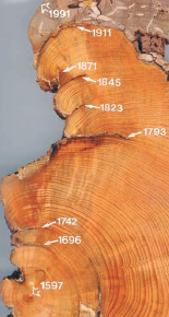 teen dating web sites